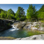 Bushcraft Coscione Bushcraft Coscione • <a style="font-size:0.8em;" href="http://www.flickr.com/photos/56388541@N06/26853952144/" target="_blank">View on Flickr</a>