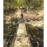 BUSHCRAFT Plateau du COSCIONE BUSHCRAFT Plateau du COSCIONE • <a style="font-size:0.8em;" href="http://www.flickr.com/photos/56388541@N06/26584795020/" target="_blank">View on Flickr</a>