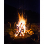 Bushcraft Coscione 2 Bushcraft Coscione 2 • <a style="font-size:0.8em;" href="http://www.flickr.com/photos/56388541@N06/27459786625/" target="_blank">View on Flickr</a>