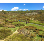 BUSHCRAFT Plateau du COSCIONE BUSHCRAFT Plateau du COSCIONE • <a style="font-size:0.8em;" href="http://www.flickr.com/photos/56388541@N06/26790598511/" target="_blank">View on Flickr</a>