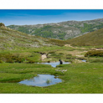 Bushcraft Coscione 2 Bushcraft Coscione 2 • <a style="font-size:0.8em;" href="http://www.flickr.com/photos/56388541@N06/26849235454/" target="_blank">View on Flickr</a>