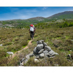 Bushcraft Coscione 2 Bushcraft Coscione 2 • <a style="font-size:0.8em;" href="http://www.flickr.com/photos/56388541@N06/27424111466/" target="_blank">View on Flickr</a>