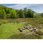 Bushcraft Coscione Bushcraft Coscione • <a style="font-size:0.8em;" href="http://www.flickr.com/photos/56388541@N06/27463500545/" target="_blank">View on Flickr</a>