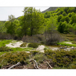 Bushcraft Coscione 2 Bushcraft Coscione 2 • <a style="font-size:0.8em;" href="http://www.flickr.com/photos/56388541@N06/27424440306/" target="_blank">View on Flickr</a>