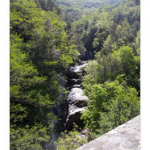 BUSHCRAFT Plateau du COSCIONE BUSHCRAFT Plateau du COSCIONE • <a style="font-size:0.8em;" href="http://www.flickr.com/photos/56388541@N06/26791154711/" target="_blank">View on Flickr</a>