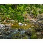 Bushcraft Coscione 2 Bushcraft Coscione 2 • <a style="font-size:0.8em;" href="http://www.flickr.com/photos/56388541@N06/27387194591/" target="_blank">View on Flickr</a>