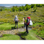 Bushcraft Coscione 2 Bushcraft Coscione 2 • <a style="font-size:0.8em;" href="http://www.flickr.com/photos/56388541@N06/26851199203/" target="_blank">View on Flickr</a>