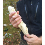 BUSHCRAFT Plateau du COSCIONE BUSHCRAFT Plateau du COSCIONE • <a style="font-size:0.8em;" href="http://www.flickr.com/photos/56388541@N06/26822617776/" target="_blank">View on Flickr</a>