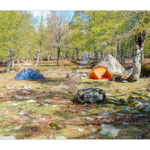 BUSHCRAFT Plateau du COSCIONE BUSHCRAFT Plateau du COSCIONE • <a style="font-size:0.8em;" href="http://www.flickr.com/photos/56388541@N06/26785259951/" target="_blank">View on Flickr</a>