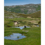 Bushcraft Coscione 2 Bushcraft Coscione 2 • <a style="font-size:0.8em;" href="http://www.flickr.com/photos/56388541@N06/26851092013/" target="_blank">View on Flickr</a>