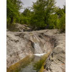 Bushcraft Coscione 2 Bushcraft Coscione 2 • <a style="font-size:0.8em;" href="http://www.flickr.com/photos/56388541@N06/26851618843/" target="_blank">View on Flickr</a>