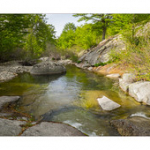 Bushcraft Coscione 2 Bushcraft Coscione 2 • <a style="font-size:0.8em;" href="http://www.flickr.com/photos/56388541@N06/27182730910/" target="_blank">View on Flickr</a>