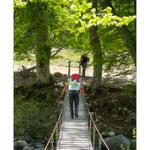 Bushcraft Coscione Bushcraft Coscione • <a style="font-size:0.8em;" href="http://www.flickr.com/photos/56388541@N06/26856106283/" target="_blank">View on Flickr</a>