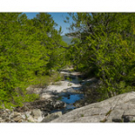 Bushcraft Coscione Bushcraft Coscione • <a style="font-size:0.8em;" href="http://www.flickr.com/photos/56388541@N06/27463396865/" target="_blank">View on Flickr</a>