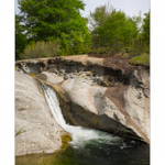 Bushcraft Coscione 2 Bushcraft Coscione 2 • <a style="font-size:0.8em;" href="http://www.flickr.com/photos/56388541@N06/27425046826/" target="_blank">View on Flickr</a>