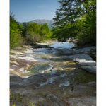 Bushcraft Coscione Bushcraft Coscione • <a style="font-size:0.8em;" href="http://www.flickr.com/photos/56388541@N06/27391631631/" target="_blank">View on Flickr</a>