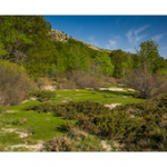 Bushcraft Coscione Bushcraft Coscione • <a style="font-size:0.8em;" href="http://www.flickr.com/photos/56388541@N06/27428566526/" target="_blank">View on Flickr</a>