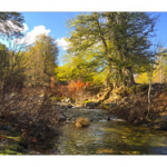 BUSHCRAFT Plateau du COSCIONE BUSHCRAFT Plateau du COSCIONE • <a style="font-size:0.8em;" href="http://www.flickr.com/photos/56388541@N06/26583126600/" target="_blank">View on Flickr</a>