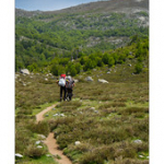 Bushcraft Coscione 2 Bushcraft Coscione 2 • <a style="font-size:0.8em;" href="http://www.flickr.com/photos/56388541@N06/27424163326/" target="_blank">View on Flickr</a>