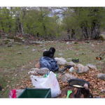 BUSHCRAFT Plateau du COSCIONE BUSHCRAFT Plateau du COSCIONE • <a style="font-size:0.8em;" href="http://www.flickr.com/photos/56388541@N06/26764787082/" target="_blank">View on Flickr</a>