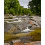 Bushcraft Coscione 2 Bushcraft Coscione 2 • <a style="font-size:0.8em;" href="http://www.flickr.com/photos/56388541@N06/26851568203/" target="_blank">View on Flickr</a>