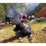 BUSHCRAFT Plateau du COSCIONE BUSHCRAFT Plateau du COSCIONE • <a style="font-size:0.8em;" href="http://www.flickr.com/photos/56388541@N06/26824770846/" target="_blank">View on Flickr</a>