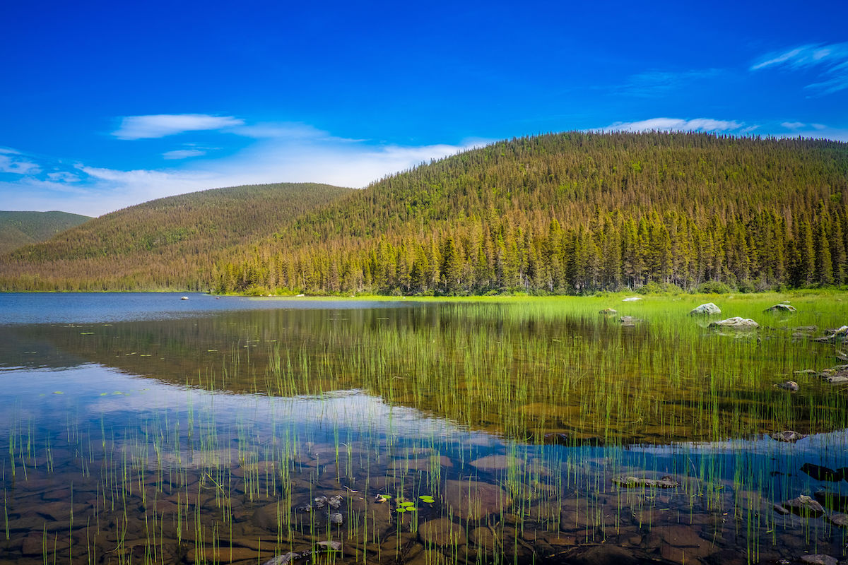 Lire la suite à propos de l’article CANADA, Le Québec et ses parcs naturels